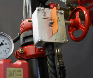 change your perception of what is possible at International FIREX